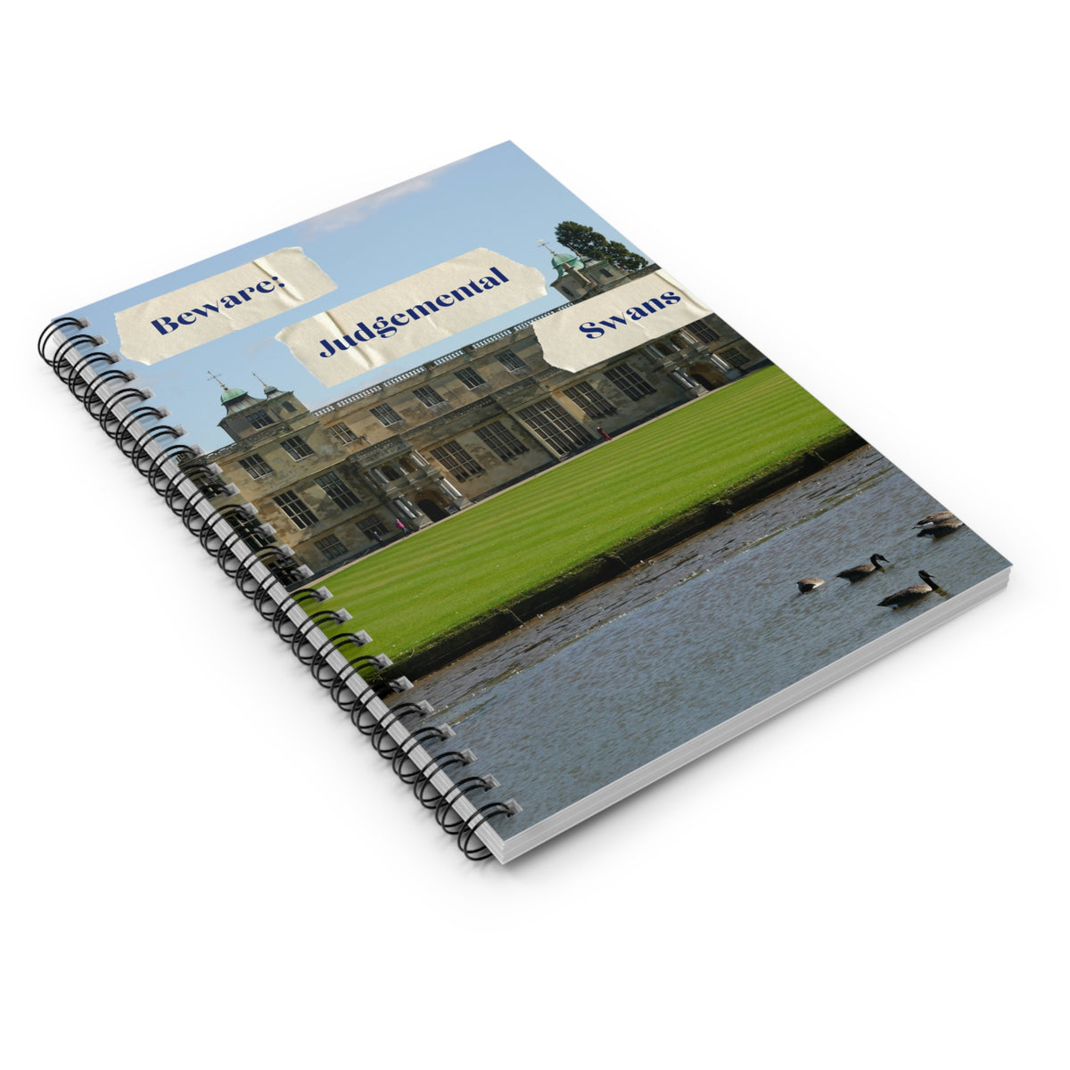 Judgemental Swans Spiral Notebook