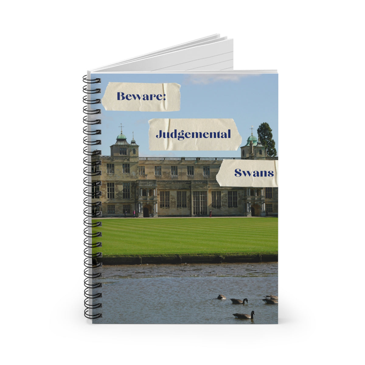 Judgemental Swans Spiral Notebook